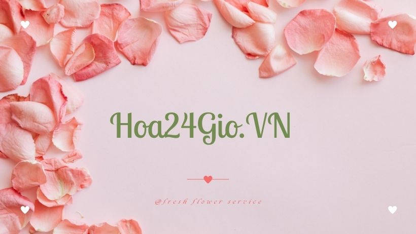 banner-hoa-24gio-vn