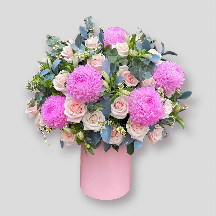 Hồng Pastel -hg115