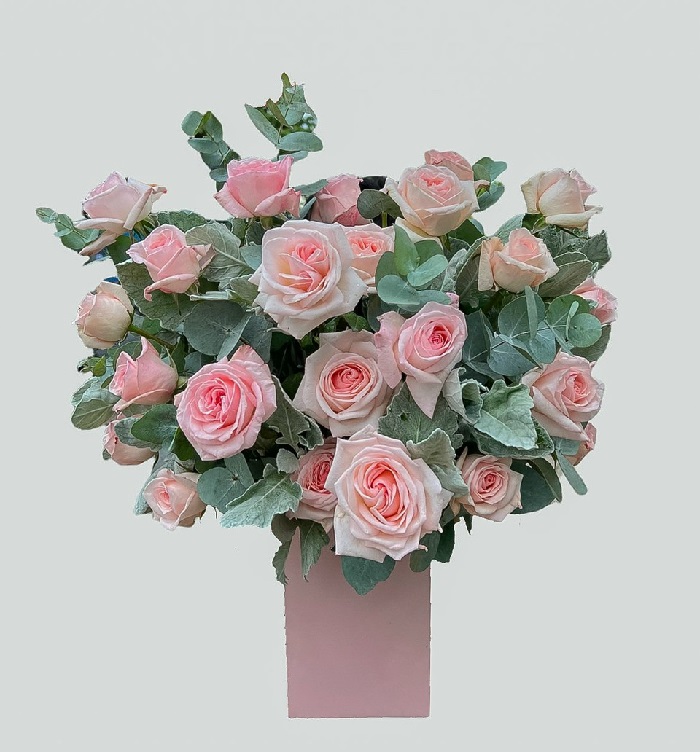 Lãng Hoa Nhỏ Xinh -hg121