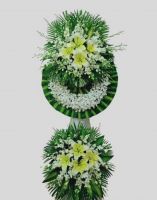 Sự Thương Tiếc -hv103