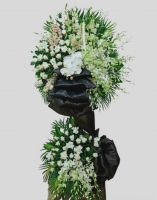 Phút Chia Ly -hv110