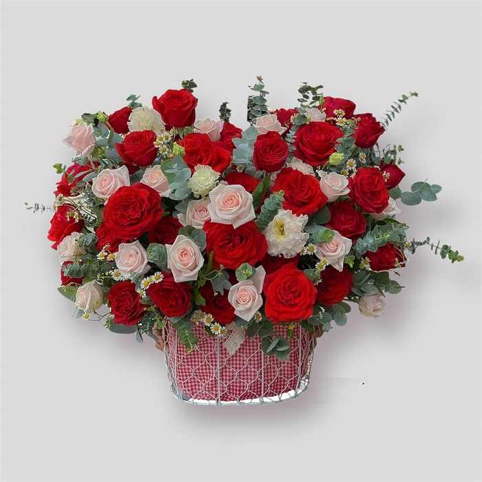 Sự Xinh Đẹp -hg107