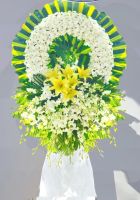 Kính Viếng -hv118