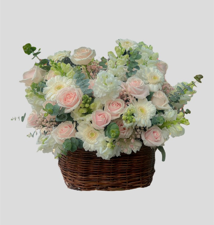 Nhẹ Nhàng Và Tinh Tế -hg109